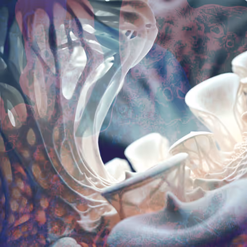 Dreamscape M16