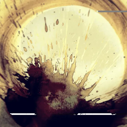 Item #79199631732045679610409293861376479058464126016282343108999058225091741483009 Media