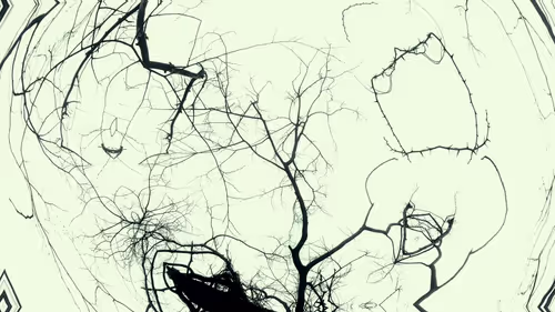 Item #24967146477419090921560663038626653354572651960968859782515528559298705620993 Media