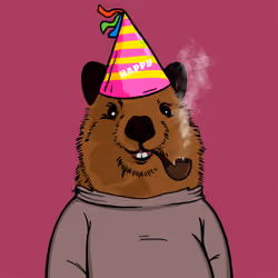 #11 Quokka Club Nft