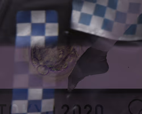 Item #112359758610415055204714339182198120292599999460766505698722684847787291443201 Media