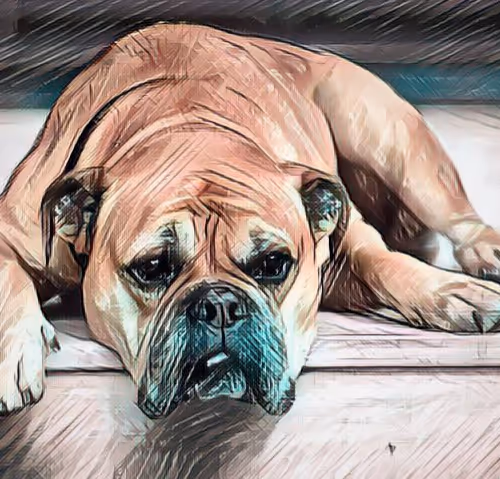 Animal Art V4