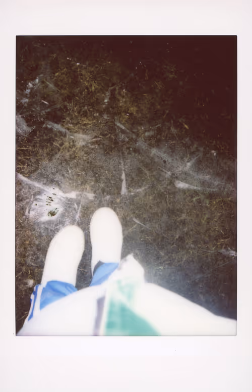 Item #106002358755633072780688393344306535131574018413591107715624238122917129355265 Media