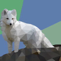 Snow Fox Dark