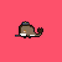 Weird Whales 596