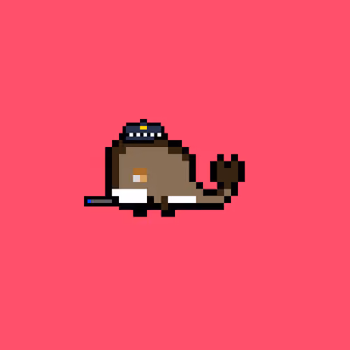 Weird Whales 596