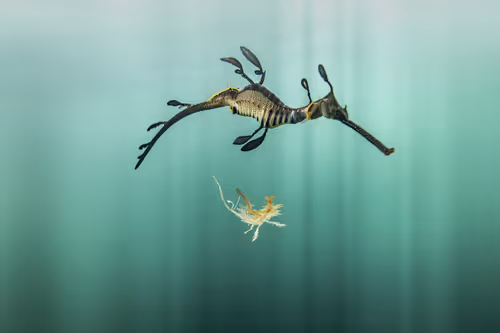 Item #54498339750312629147900213793127286863305084837877265024526474307272311832577 Media