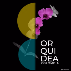 Orquidea colombiana 001