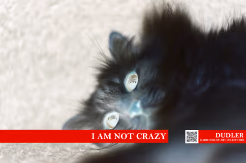 Item #18580735972203588279053579333328689979786797976926619592759457977441194082305 Media