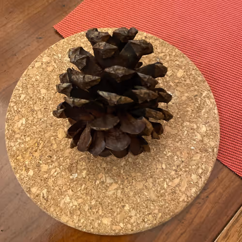 Untitled Collection #154141753