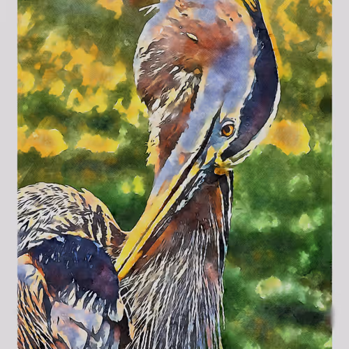 55704534837685659622621715309832868758345944585427688586690141391574599204865