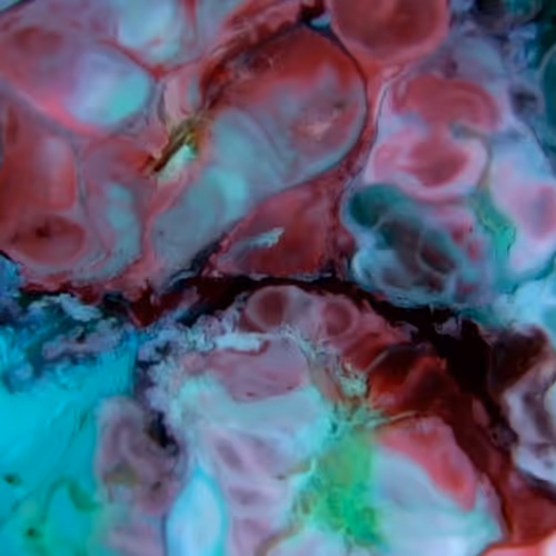 24074810528421772514233601070827590066402087809941770395158209012104817541121