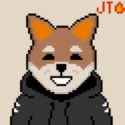 JT Fire Inu
