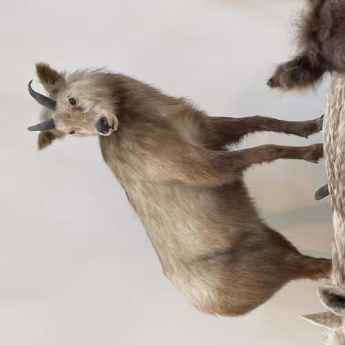 Untitled Collection #26461662 - old