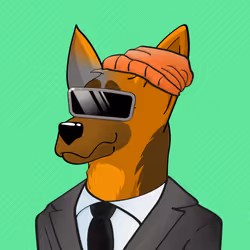 BNDog 589
