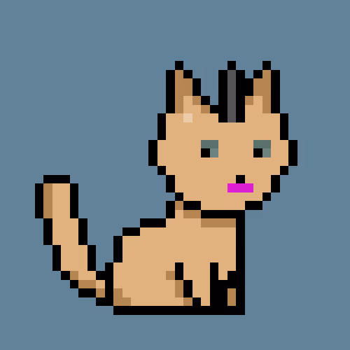 PunkCat #8646