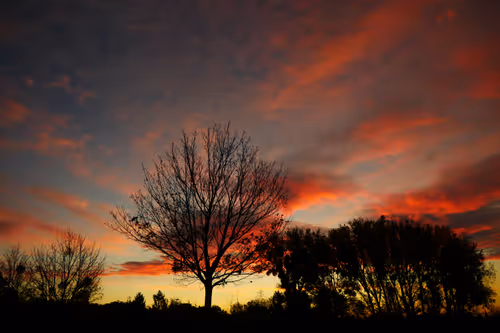 Item #40160686583094733528677484039903516258611509642019211679321071478160909926401 Media