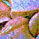 61297748819777492831348310861433095863478146698340499962445548952397287522305