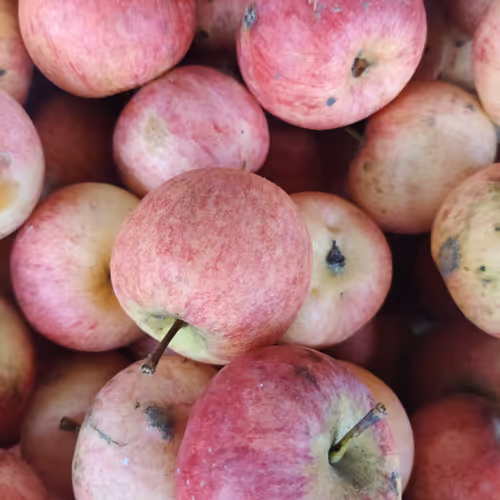 Apple paradise