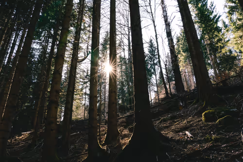 Item #44719000099665773654266672940263648728753689185242925436087362557906165694465 Media