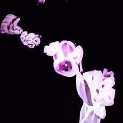 The Non-Human Artwork Project #11
