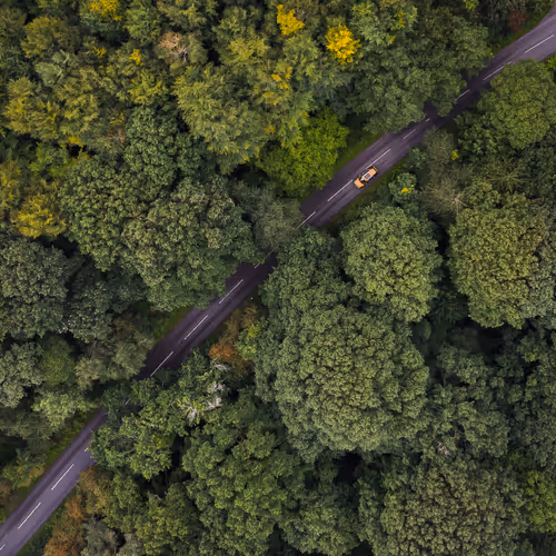 Your World From Above