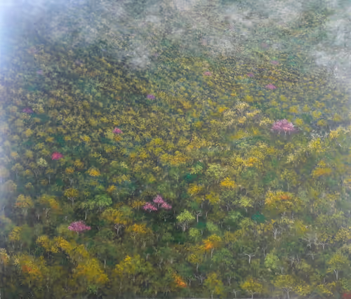 Item #37899814186798119916555306040516156739925180699321084384454640151383779573761 Media