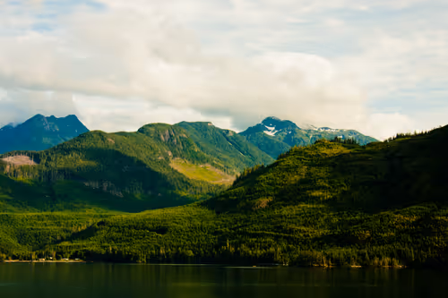 Item #888198070620530782295992843188489433267157345827485471243103218259413958657 Media