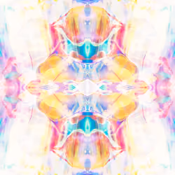 Halo Portal