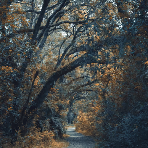 EyesofInfinity Collection - old