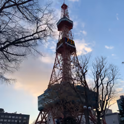 TOKYO TOWER LOVE