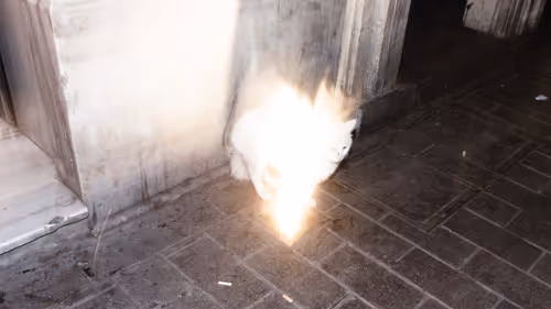 Item #45698053960438807051727633621105073210005053048443120307747772240229310660609 Media