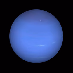 Neptune #8