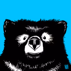 12256084541221245156135028986021526634136884921740396050173767669700483874817