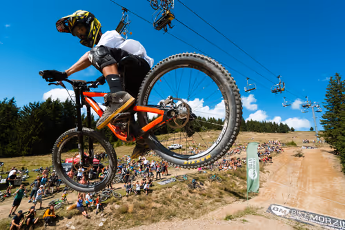 Item #100568244476551221138828286502777824514190158679998123651625085641229810532353 Media