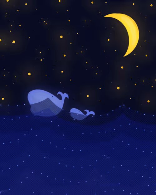 Item #74763708540185047210297945267219793035370421188970934627858170086096229105665 Media