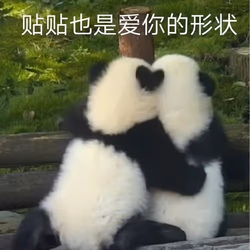 Untitled Collection #91244559