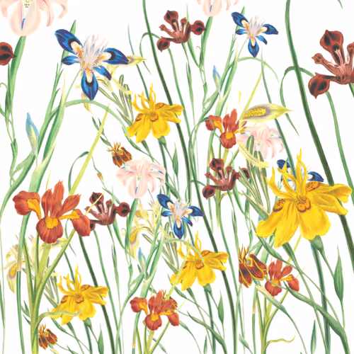 Item #44774762337668537642205640678235127653662757933255340155095354904851102302209 Media