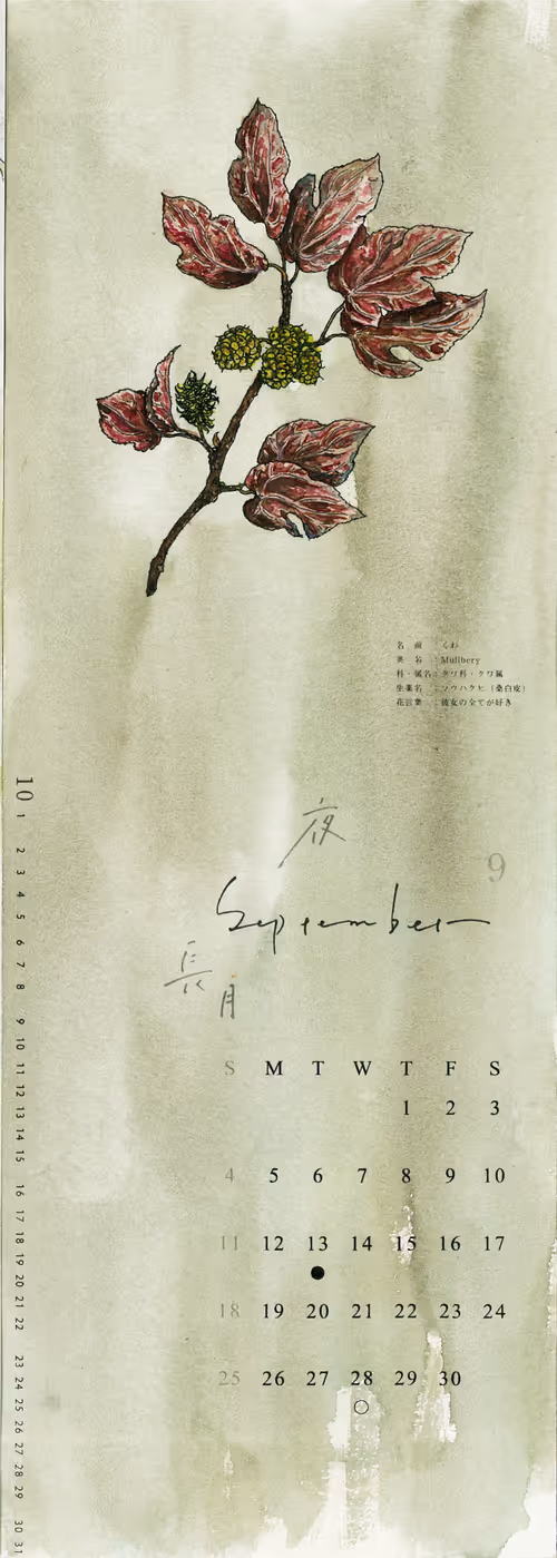 Item #113130406688559938874937735553680050794029462240795979229722199069838341570561 Media