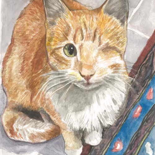 Cat Illustration #8