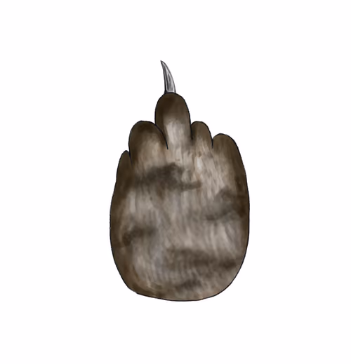 Item #63245333026316414171094604481362055584882545752340933722660767260451098591233 Media