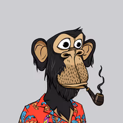 61711868753073721077003651849237961867593371442335358021915182820343305732097