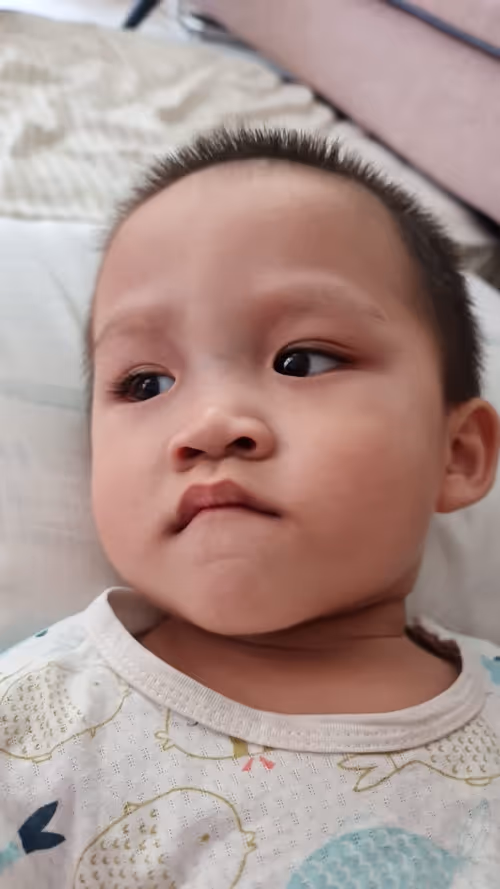 Item #68446747481567112358686483543775619263054387806221287465842537976963948085249 Media