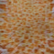 104338940065262249672039165725444051733596664414521854178651466453934458011649