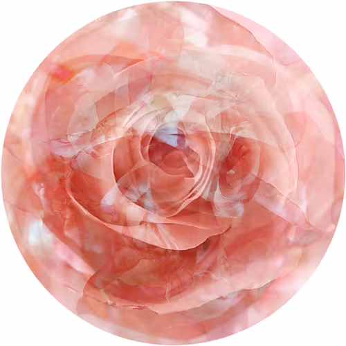 Item #57150199714264965124008739370880617649067410576125716926726195620334683553793 Media