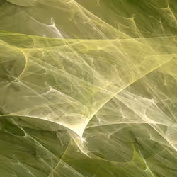 Fractal Meshes