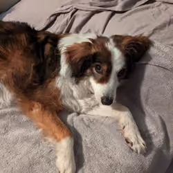 What do you mean, "Go outside...?"