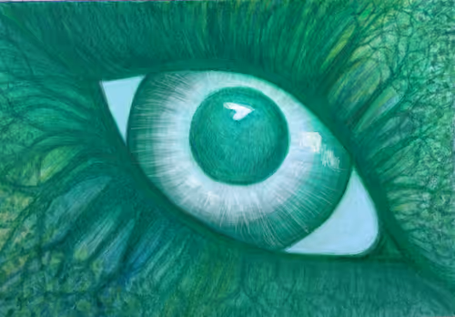 Item #68982312092038325108461803030057075878285591957393918966254143725836892635137 Media