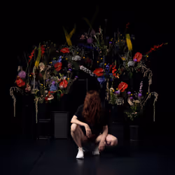 29225512278462627521798648337765154625875213490195303772458487986746992623617