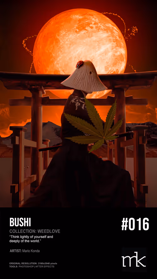 Item #55573863004974060553668176881007852524625808110851081363137097850324711899137 Media